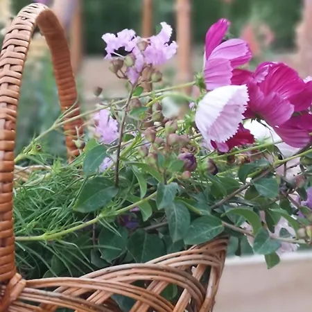 Di Piazzano - Small Luxury Of The World Ξενοδοχείο Κορτόνα
